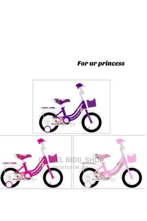 Lady Bird Girls Bicycle Size 16