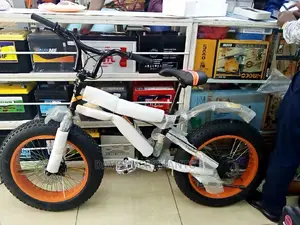 Fat Tyre Kids Bike