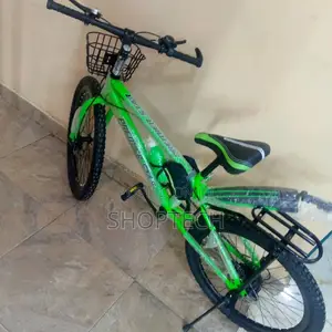 24 Inch Premier Bicycle