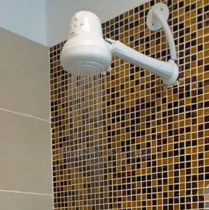 Professional Electric Shower Head Installation