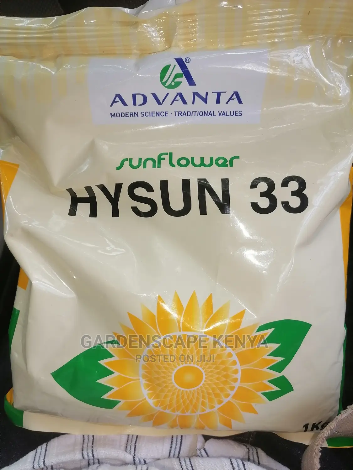 Hysun 33 Sunflower Seeds