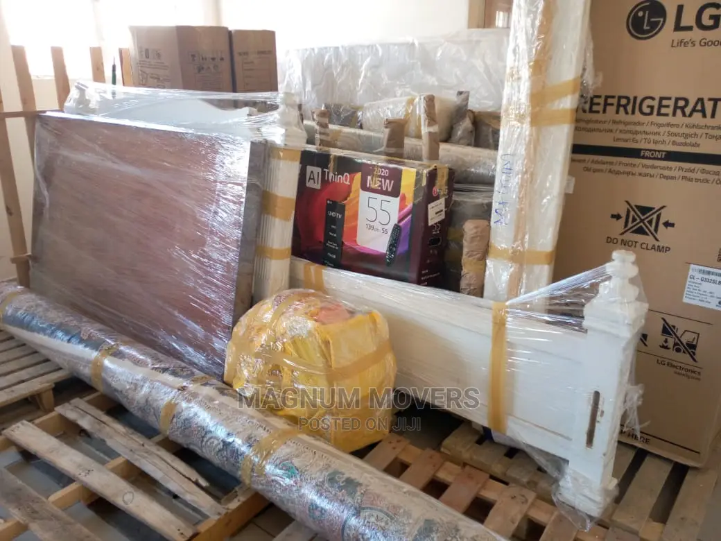 Professional Moving and Storage Services