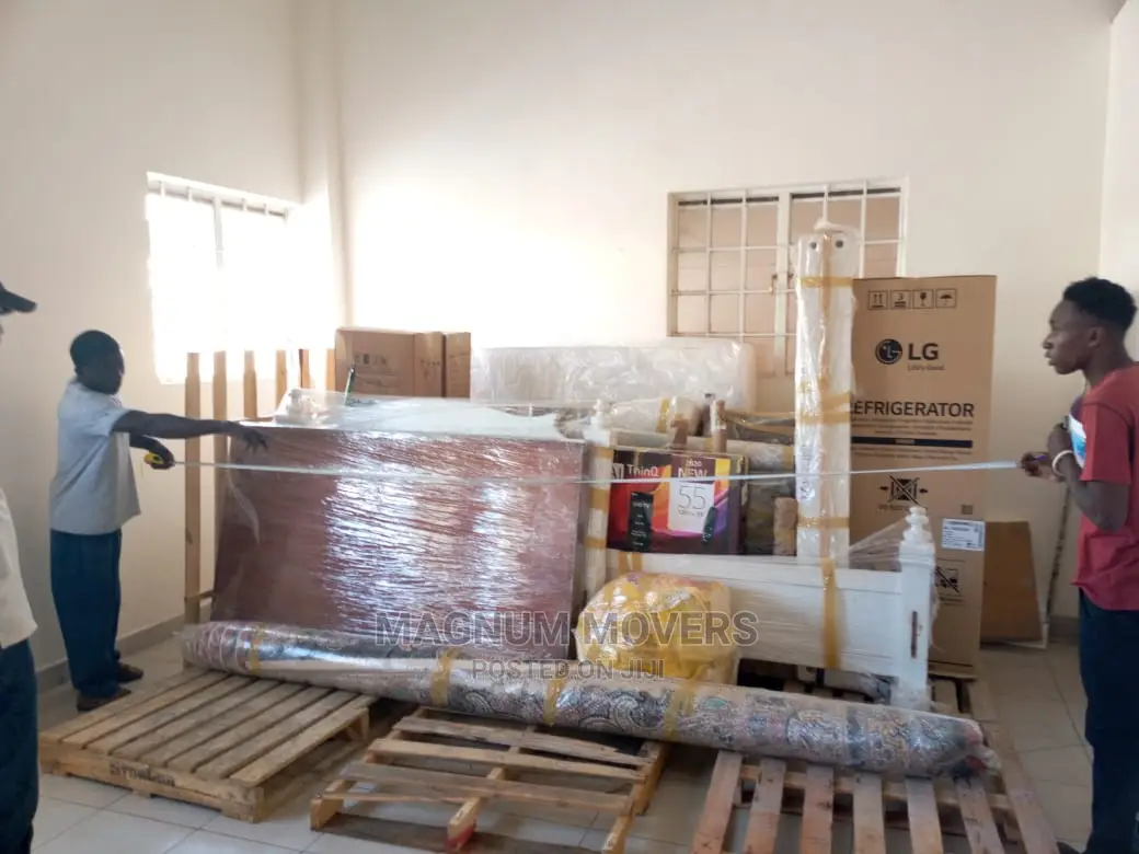 Professional Moving and Storage Services