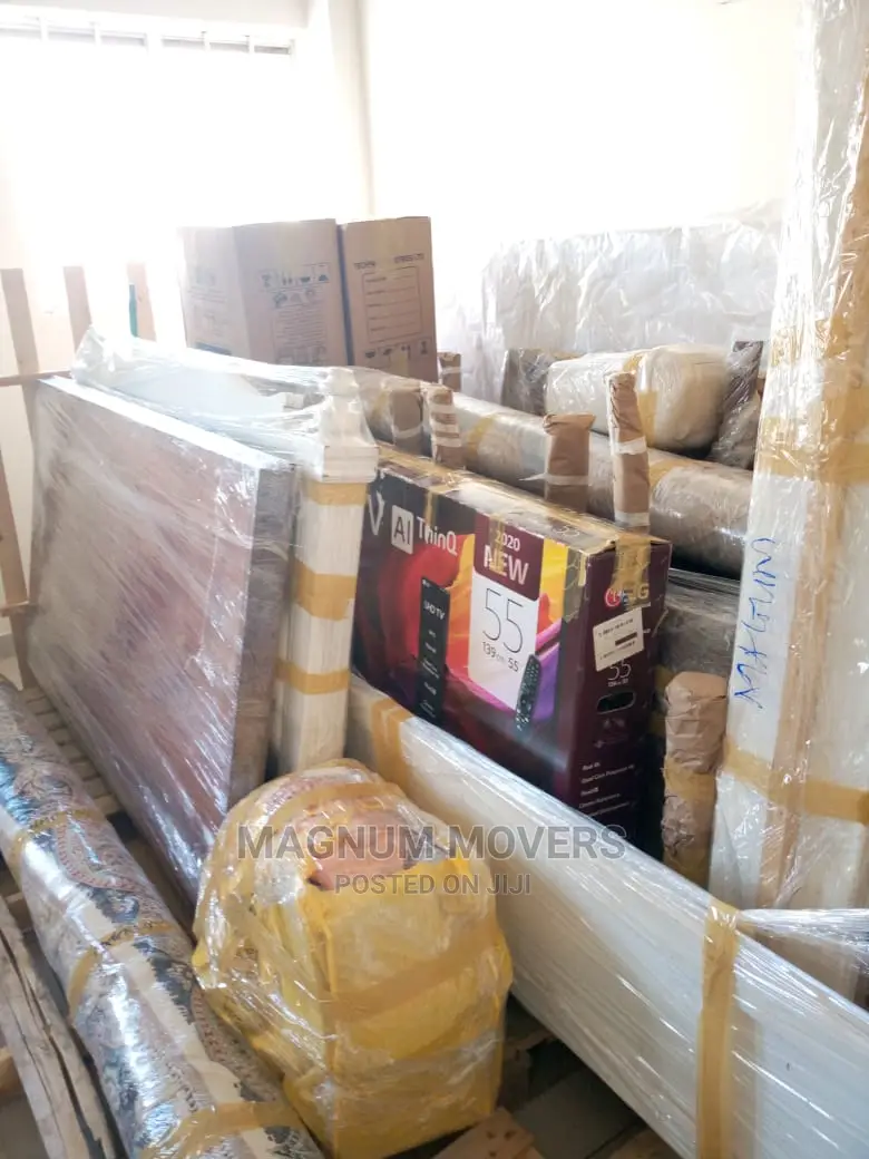 Professional Moving and Storage Services