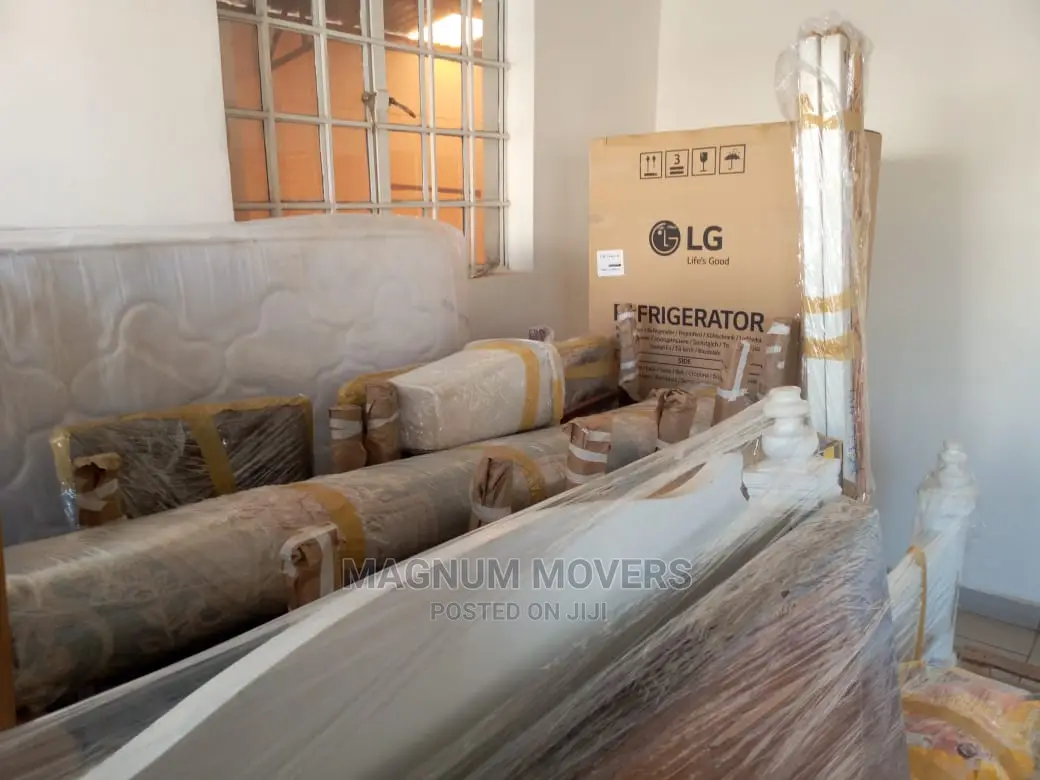 Professional Moving and Storage Services