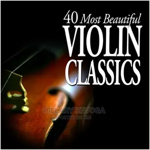 Violin Music Classes