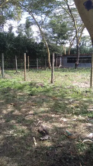 1/4 Acre Plots for Sale in Sensei Kitengela