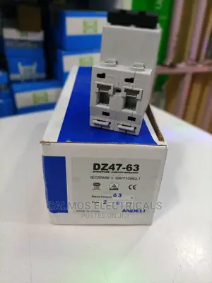63amperes Double Pole