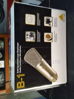 Studio Condenser Microphone Behringer B1