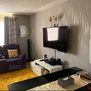 DSTV Installation And TV Mounting