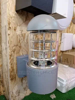 Wall Light/ Wall Mounted Light