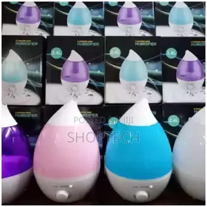 2.4 Liters Humidifier.