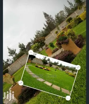 Landscaping and Gardening