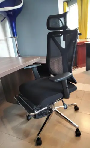 Headrest Ergonomic Chair