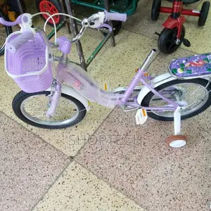 16 Inch Bicycle With Handle