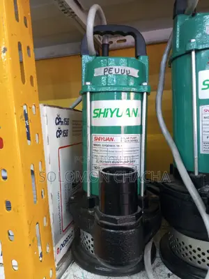 Shiyuan 2inch DC Solar Submersible Pump