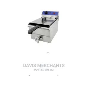 Electric Fryer