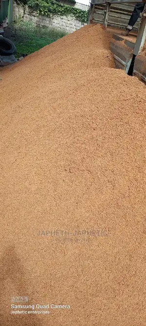 Clean River Sand