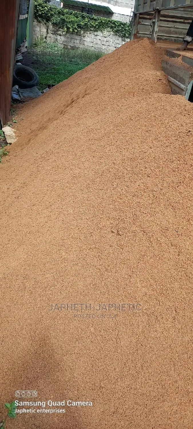 Clean River Sand
