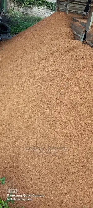 Clean River Sand