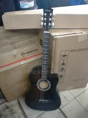 An Acoustic Black