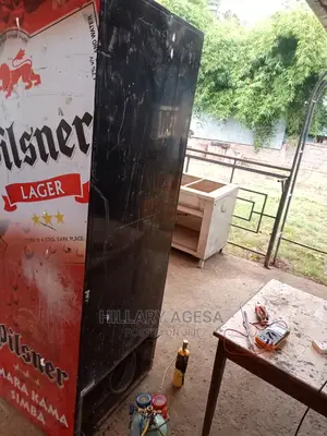 Fridge Bottle Cooler, Repair And Service
