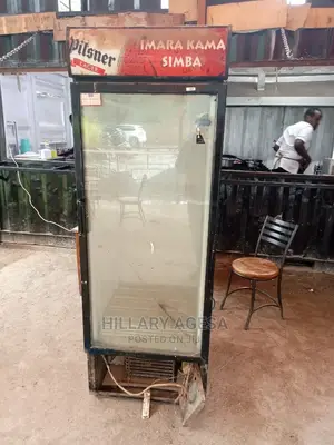 Fridge Bottle Cooler, Repair And Service