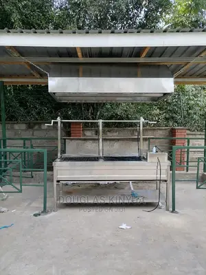 Stainless Steel Meat Grill/ Meat Roaster With Fryer