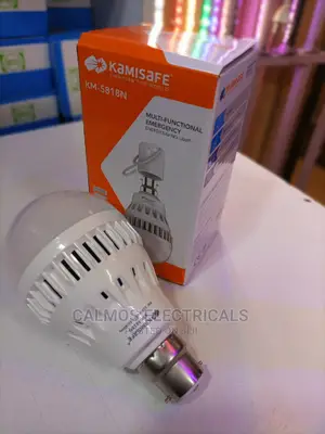 Emergency LED Bulbs