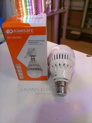 Emergency LED Bulbs