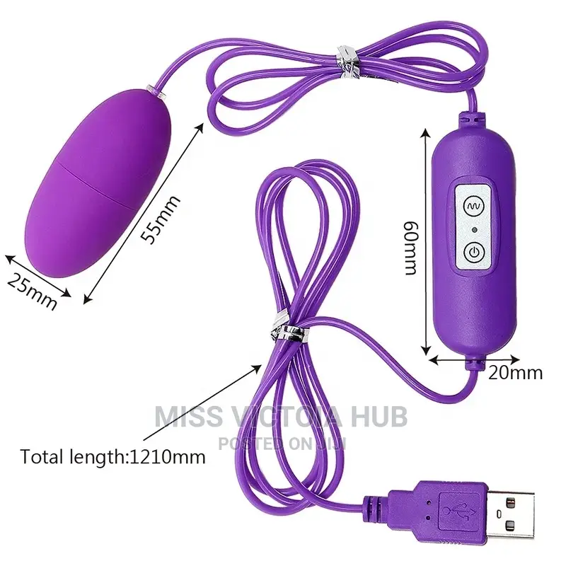 USB Charger Double Egg Bullet Vibrator With Kegel Balls