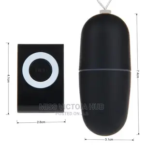 MP3 Vibrating Egg Remote Control Vibrator