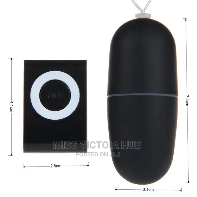 MP3 Vibrating Egg Remote Control Vibrator