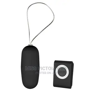 MP3 Vibrating Egg Remote Control Vibrator