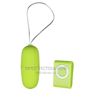 MP3 Vibrating Egg Remote Control Vibrator