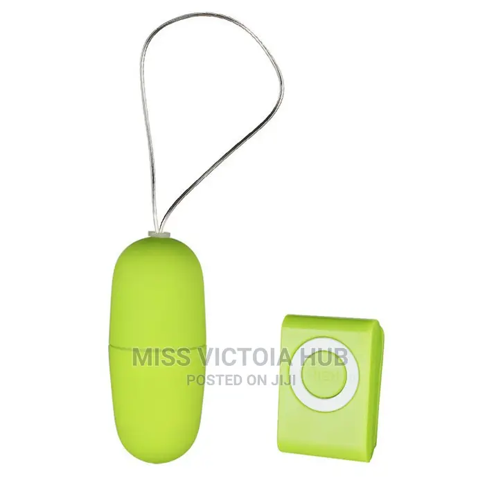 MP3 Vibrating Egg Remote Control Vibrator