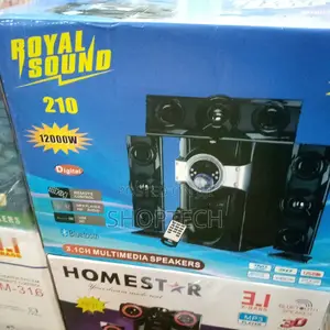 3.1ch Royal Sound Multimedia Speaker System Woofer.
