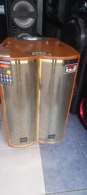Powerful BT Standby US P.A Speaker +2mics