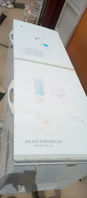Deep Freezer 750L