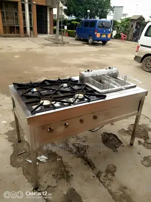 Combined Cooker With Gas Cooker and Deep Double Fryer