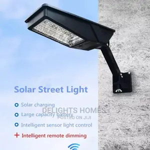 Solar Induction Lamp