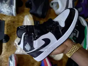 Designer Assorted Urban Sneakers