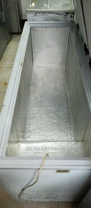 Freezer Double Doors