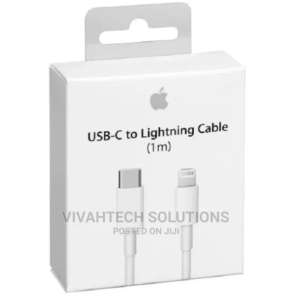 USB C to Lightning Cable