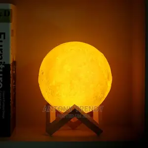 Moon Light Lamp