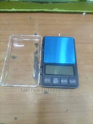 Portable Digital Scale/Digital Weighing Scale