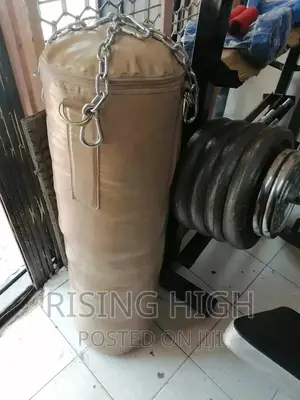 Executive Quality Punching Bag