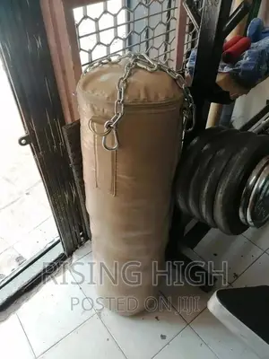 Prestigious Punching Bag