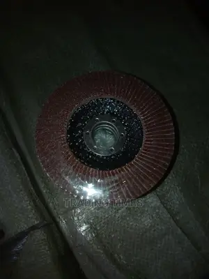 Flap Disc( Sali)