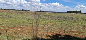 Prime Plots for Sale in Kuinet Touching Tarmac in Eldoret